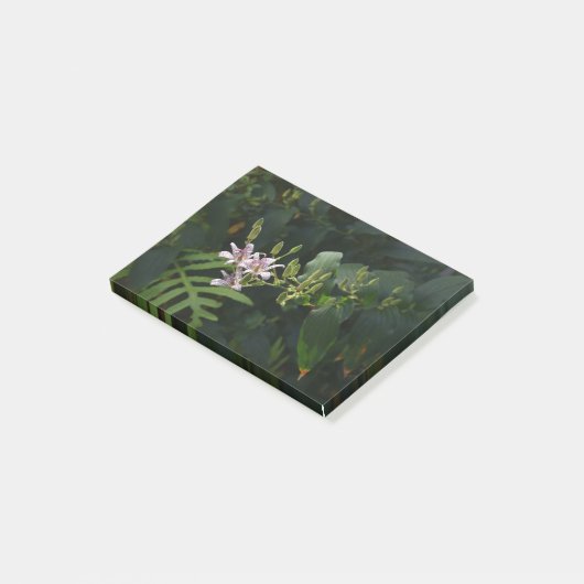 Toad Lily in de schijnwerpers. Post-it® Notes (Schuin)