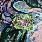 Toad Love Briefkaart