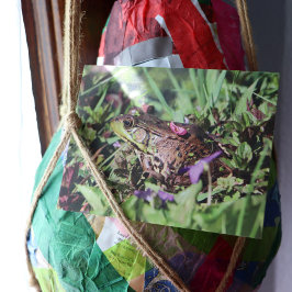 Toad Love Briefkaart