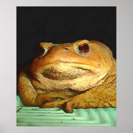 Toad met filosofische schilderingen poster