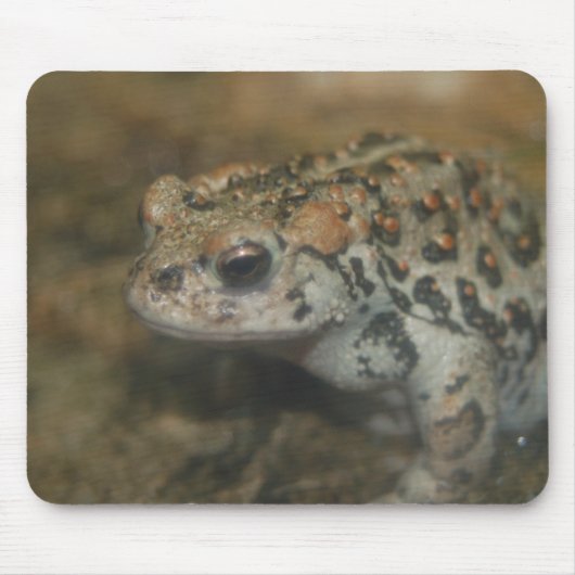 Toad Mousepad Muismat (Voorkant)