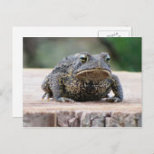 Toad op een boomstronk briefkaart (Voorkant / Achterkant)