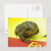 Toad op het Briefkaart Bag (Voorkant / Achterkant)