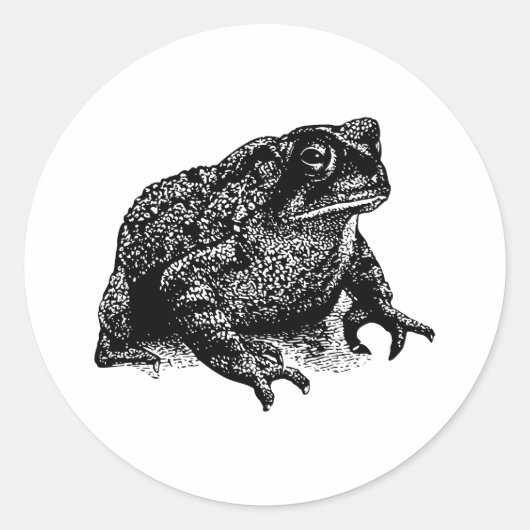 Toad Ronde Sticker (Voorkant)