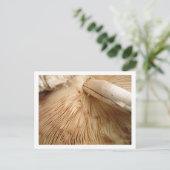 Toad Stool Briefkaart (Staand voorkant)