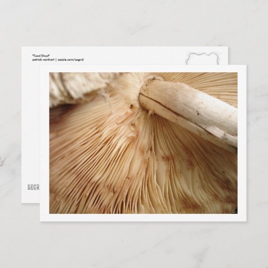 Toad Stool Briefkaart (Voorkant / Achterkant)