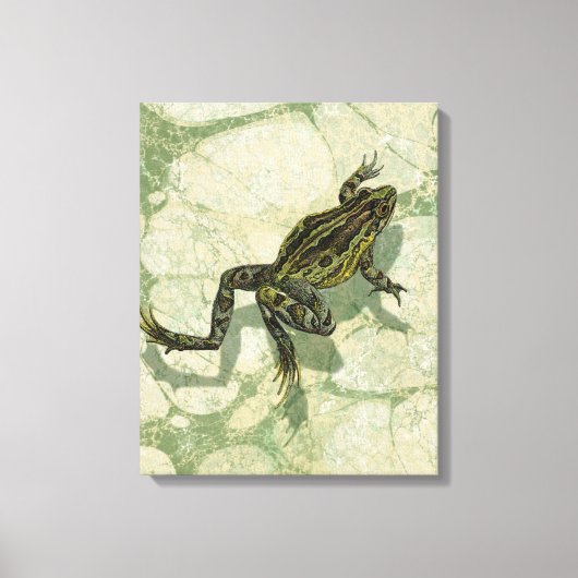 Toad Swinning in het water Canvas Afdruk (Voorkant)