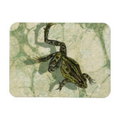 Toad Swinning in het water Magneet (Horizontaal)