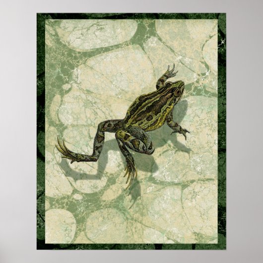 Toad Swinning in het water Poster (Voorkant)