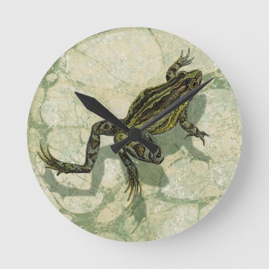 Toad Swinning in het water Ronde Klok (Voorkant)