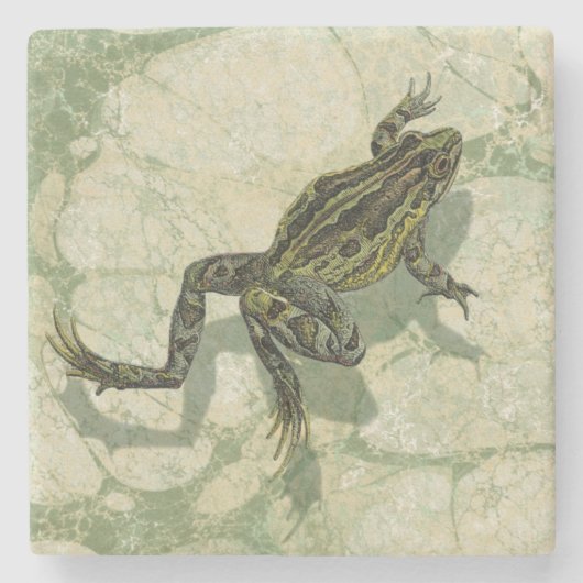 Toad Swinning in het water Stenen Onderzetter (Voorkant)