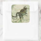 Toad Swinning in het water Vierkante Sticker (Tas)