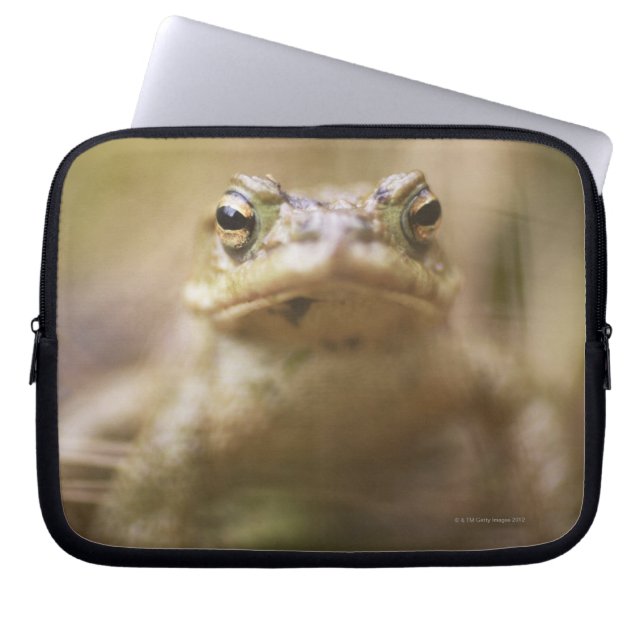 Toad van de Dag Laptop Sleeve (Voorkant)