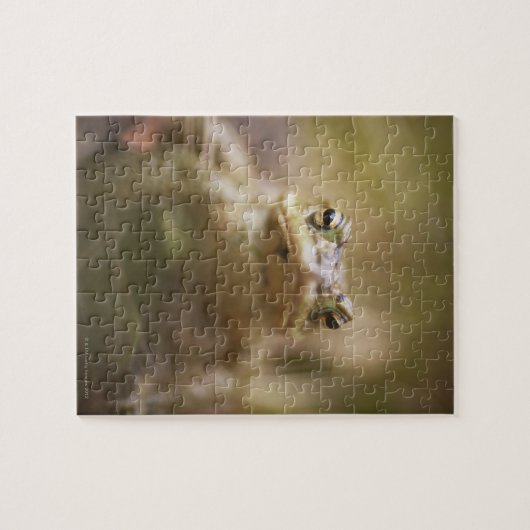 Toad van de Dag Legpuzzel (Horizontaal)