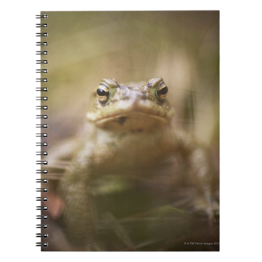 Toad van de Dag Notitieboek (Voorkant)
