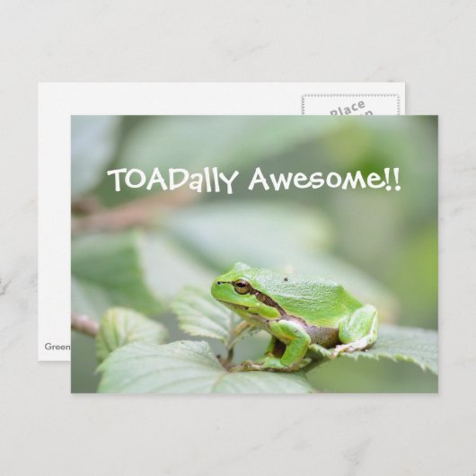 Toadally geweldige kaart met kikker (Voorkant / Achterkant)