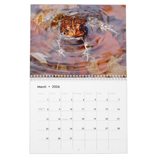 Toadgasm Kalender (Mar 2026)