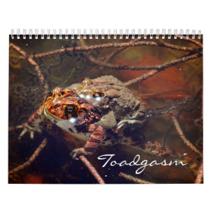 Toadgasm Kalender