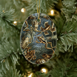  Toads en kikkers Batrachia door Ernst Haeckel Keramisch Ornament