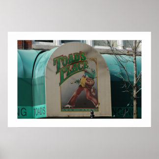 Toads plaatsen poster