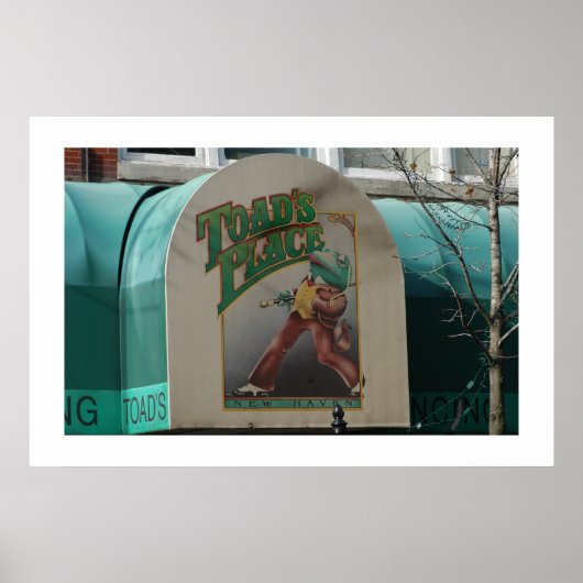 Toads plaatsen poster (Voorkant)