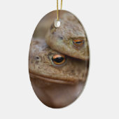 Toads "The Ugly Couple"-versiering Keramisch Ornament (Links)