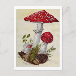Toadstool Briefkaart