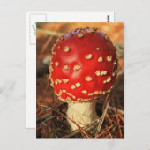 Toadstool briefkaart (Voorkant / Achterkant)