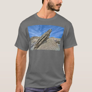 Toadstool Geological Park 1 T-shirt