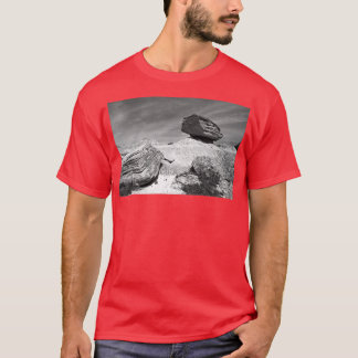 Toadstool Geological Park Monochrome T-shirt
