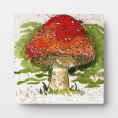 Toadstool met paling fotoplaat (Voorkant)