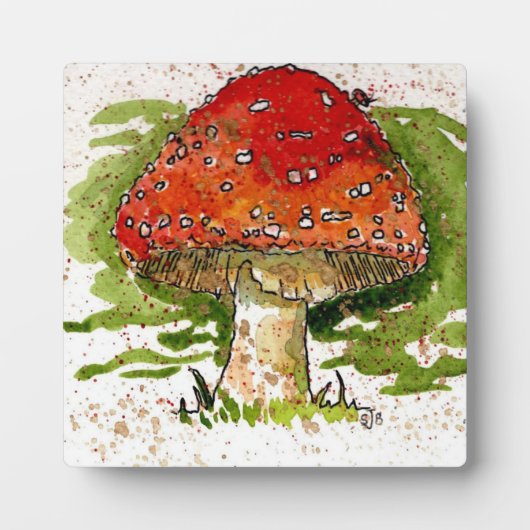 Toadstool met paling fotoplaat (Voorkant)