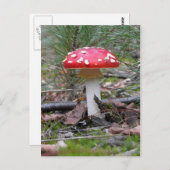 Toadstool paddenstoel briefkaart (Voorkant / Achterkant)