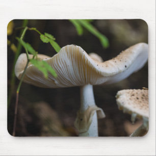 Toadstool Umbrella Muismat