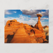 Toadstools Briefkaart (Voorkant)