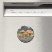 Toadstools Macro Magnet Magneet (Insitu (Vaatwasser))