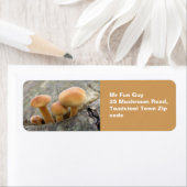 Toadstools op een aangepaste labels voor boomstamm (Insitu)