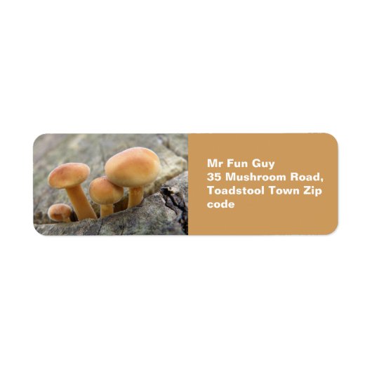Toadstools op een aangepaste labels voor boomstamm (Voorkant)