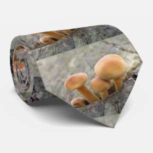 Toadstools op een Stropdas met boomstam