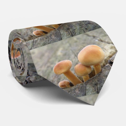 Toadstools op een Stropdas met boomstam (Opgerold)