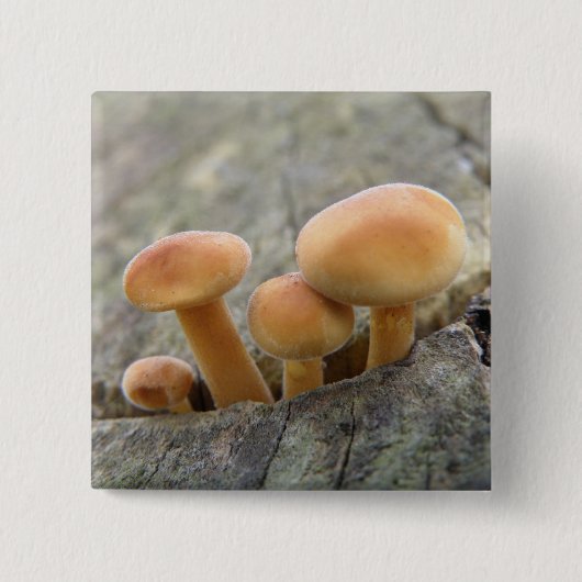 Toadstools op een Tree Trunk Button (Voorkant)
