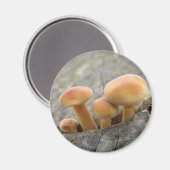 Toadstools op Tree Trunk Magnet Magneet (Voorkant / Achterkant)