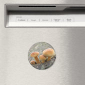 Toadstools op Tree Trunk Magnet Magneet (Insitu (Vaatwasser))