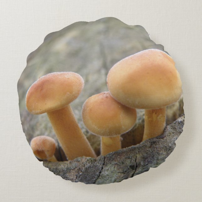 Toadstools op Tree Trunk Pillow Rond Kussen (Achterkant)