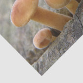 Toadstools op Tree Trunk Tissue Paper Tissuepapier (Detail)