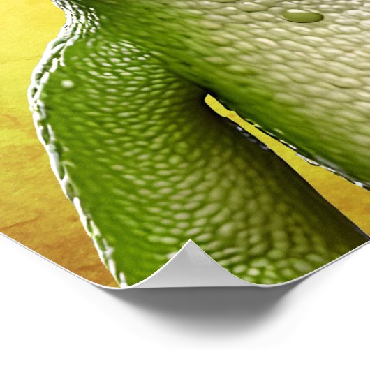 ToadTally Geweldige Poster (Hoek)