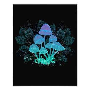 Toadvoorraad in Bushes Foto Afdruk