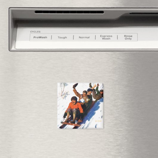 Tobagganing Magneet (Insitu (Vaatwasser))