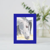 Tobehz bint Ardumm Briefkaart (Staand voorkant)