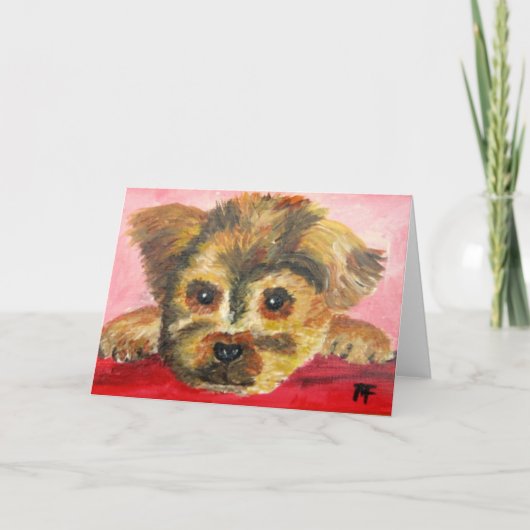 Tobi - carte de voeux (Devant)